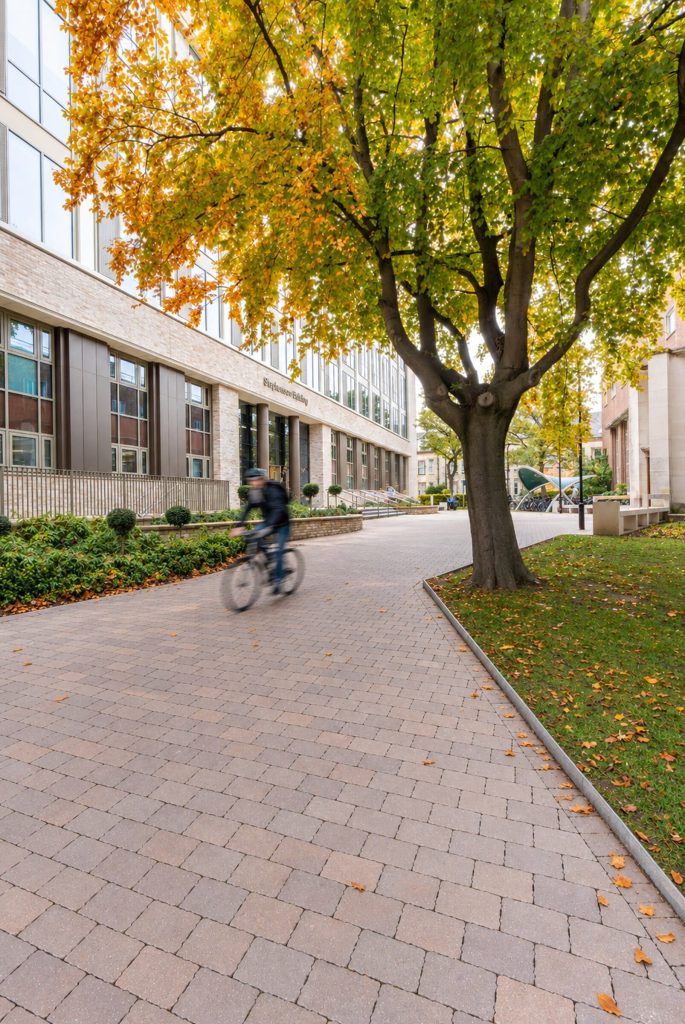 Tree lined courtyard route – Newcastle University Stephenson Building