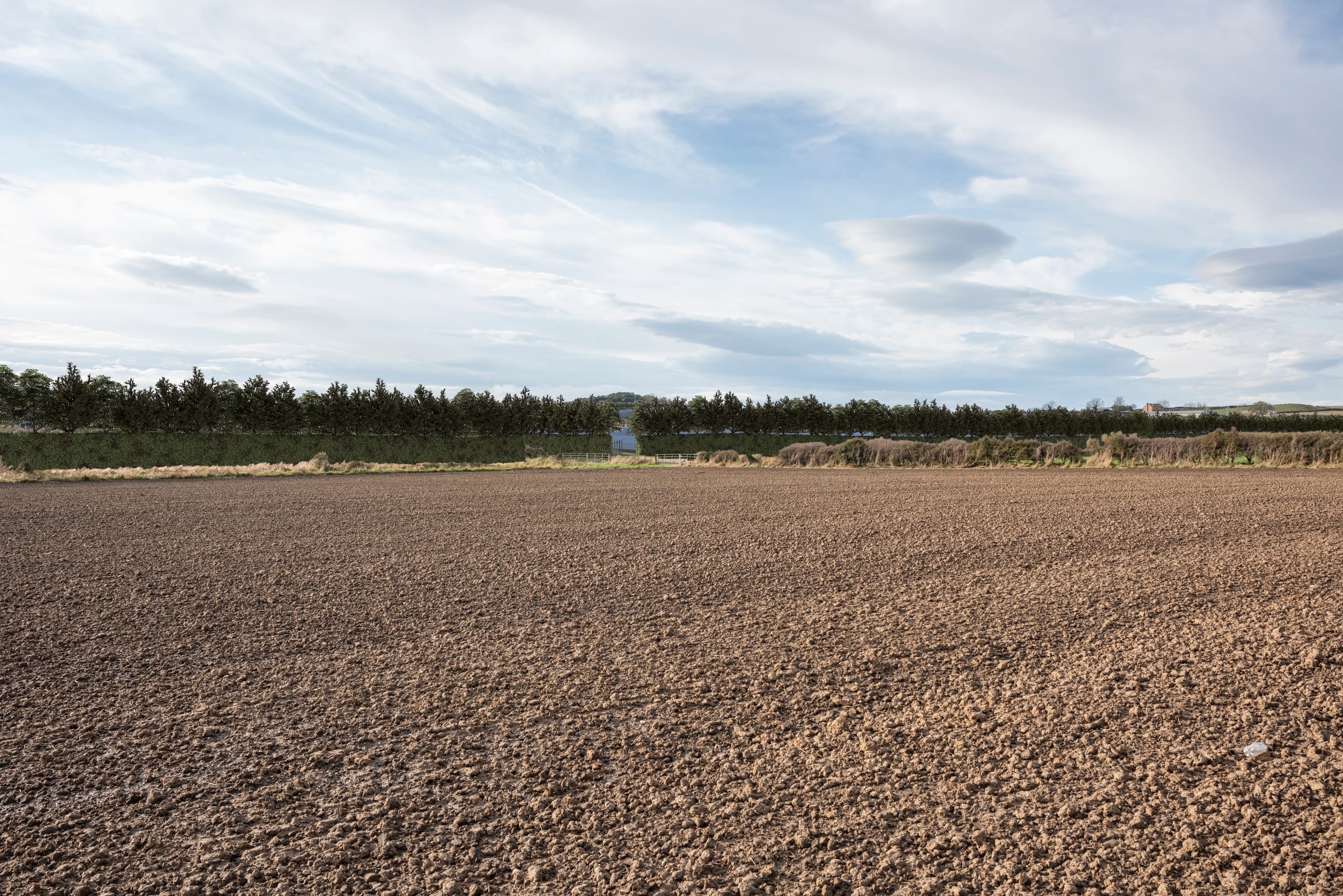 High Barnes Farm Solar Park (view 5)